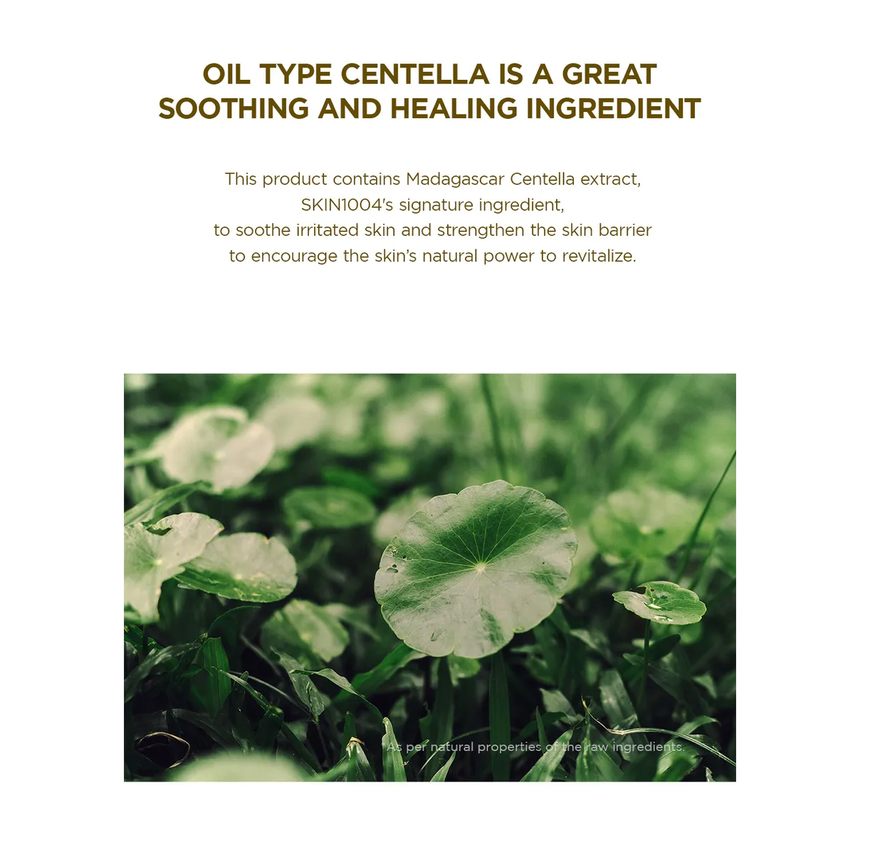 Cleanser For Oily Skin - Centella Light Cleansing Oil - Kbeautyvanity